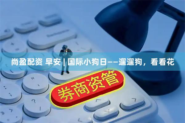 尚盈配资 早安 | 国际小狗日——遛遛狗，看看花