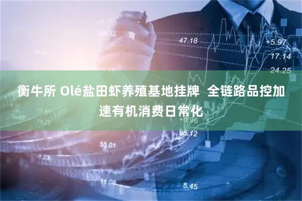 衡牛所 Olé盐田虾养殖基地挂牌  全链路品控加速有机消费日常化